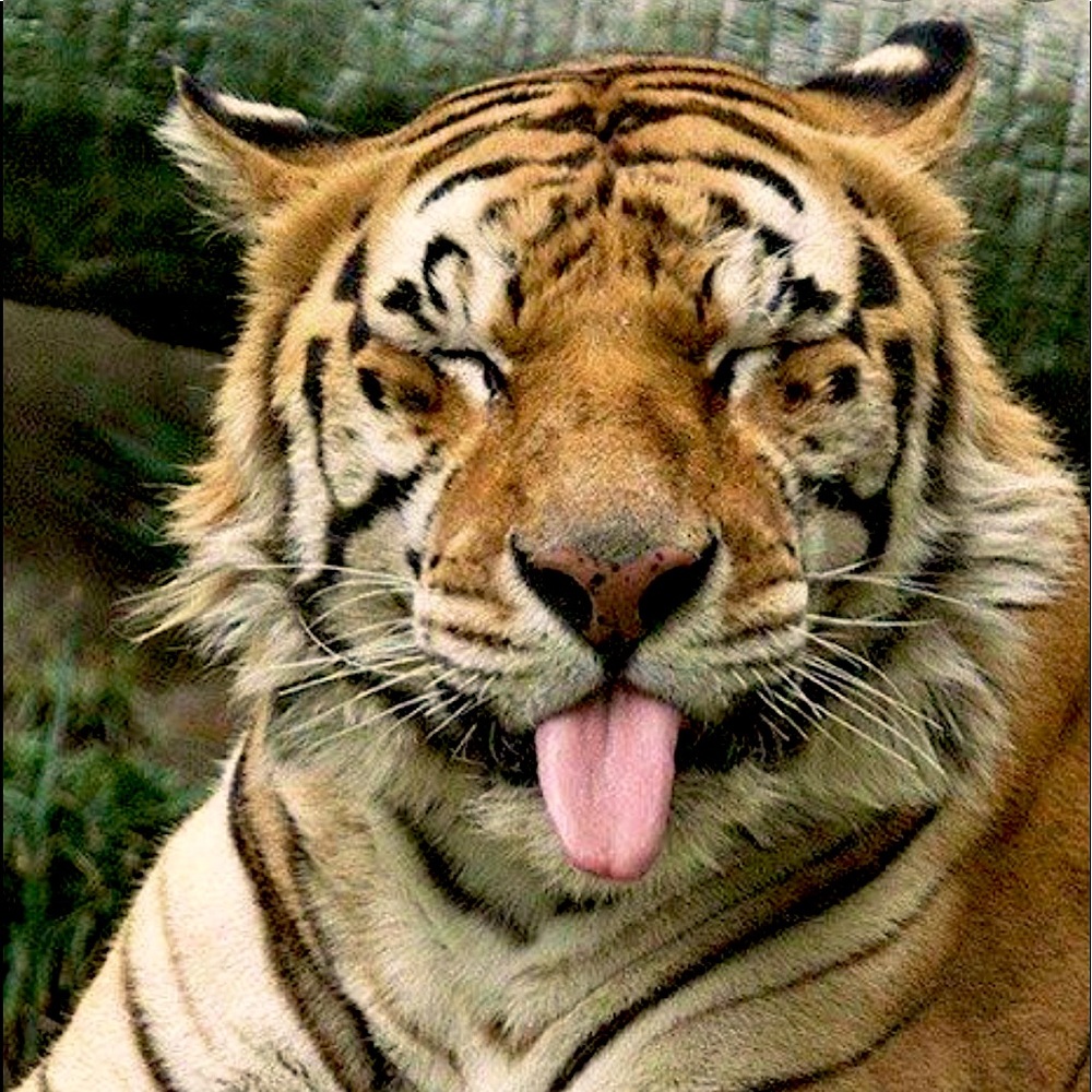 Meet your Posher, Kat